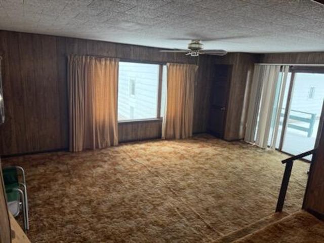 4095 E Shore Drive, Stanton, MI 48888