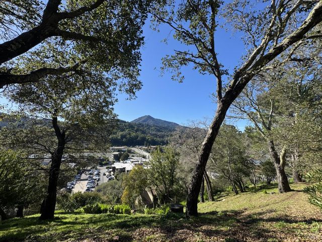 823 Via Casitas, Greenbrae, CA 94904