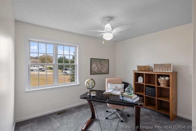 6316 Walnut Glen Drive, Willow Springs, NC 27592