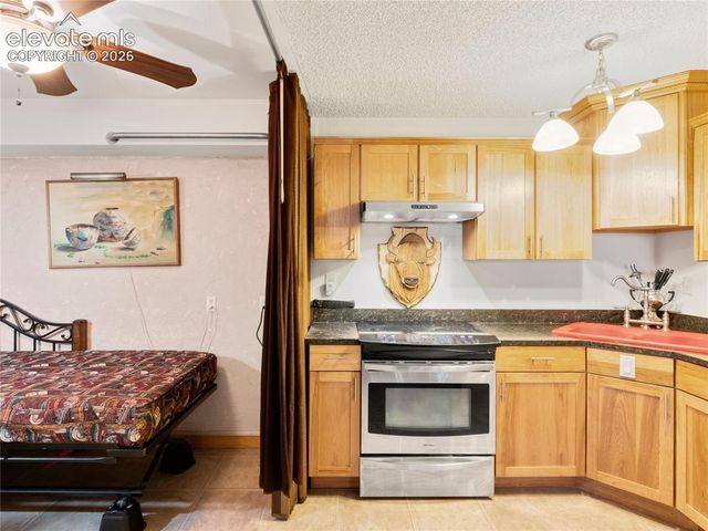380 Paradise Circle C1, Woodland Park, CO 80863