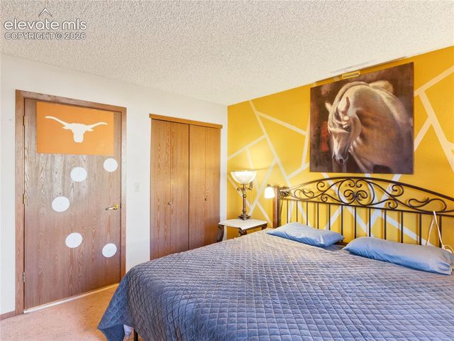 380 Paradise Circle C1, Woodland Park, CO 80863
