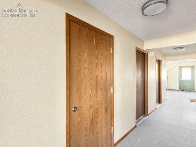380 Paradise Circle C1, Woodland Park, CO 80863