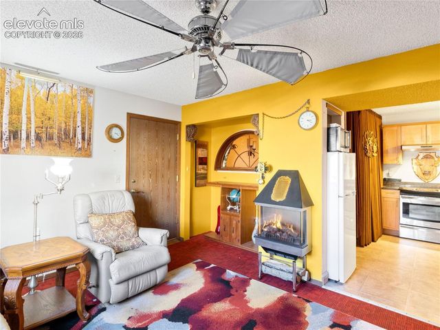380 Paradise Circle C1, Woodland Park, CO 80863