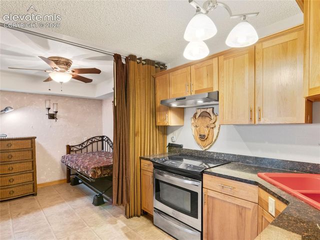 380 Paradise Circle C1, Woodland Park, CO 80863