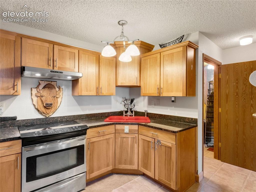 380 Paradise Circle C1, Woodland Park, CO 80863 — photo 2