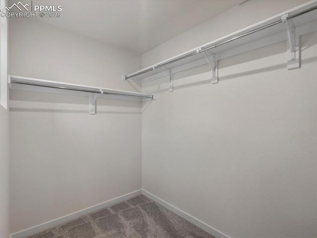 10768 Lewanee Point, Colorado Springs, CO 80908