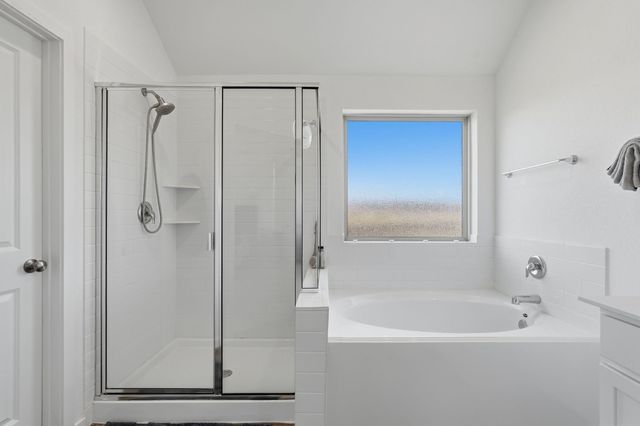 651 Spring Ashberry Court, Magnolia, TX 77354