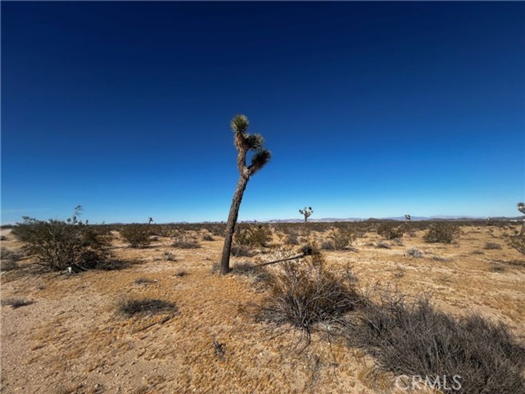0 Celesta, Joshua Tree, CA 92252