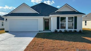 25046 Berry Ridge Lane, Springfield, LA 70462