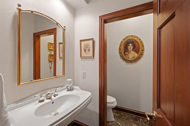 17403 Cedar Placid Lane, Houston, TX 77068