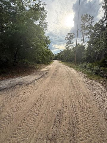 18710 SE 61ST STREET ROAD, Ocklawaha, FL 32179