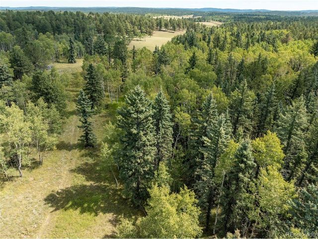 284 County Road 511 Rd, Divide, CO 80814