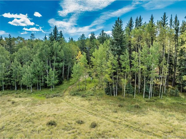 284 County Road 511 Rd, Divide, CO 80814