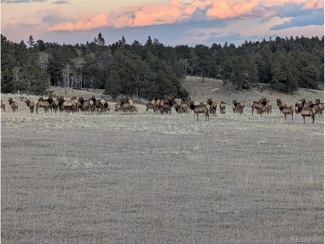 284 County Road 511 Rd, Divide, CO 80814