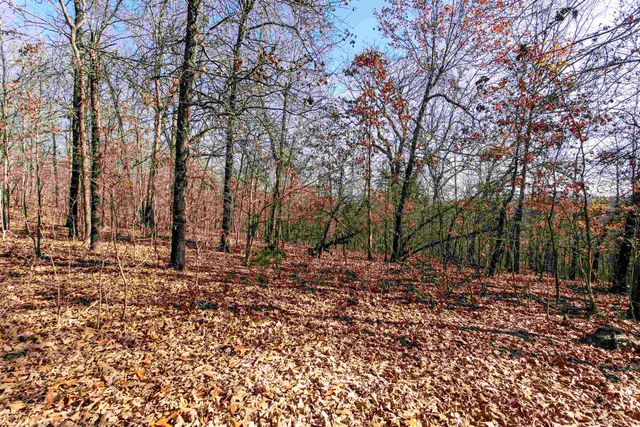 TBD Slick Rock Rd, Hardy, AR 72542