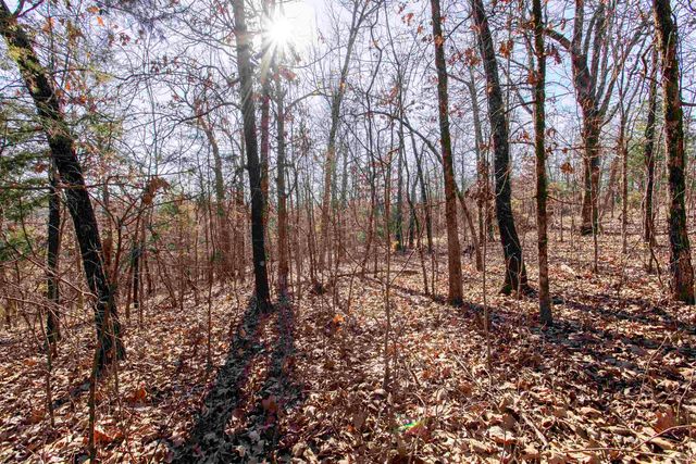 TBD Slick Rock Rd, Hardy, AR 72542