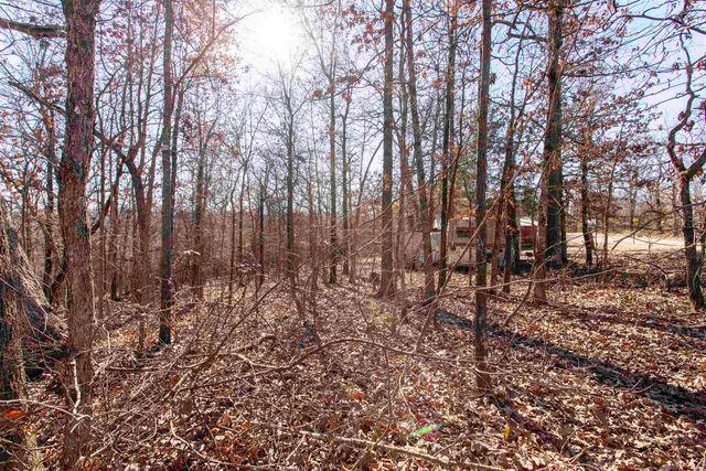 TBD Slick Rock Rd, Hardy, AR 72542