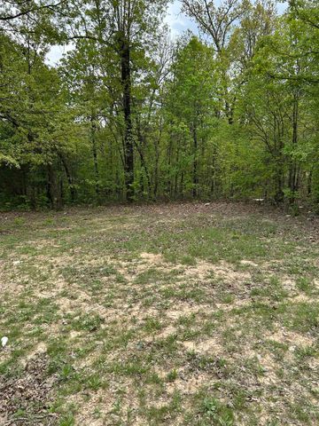 TBD Slick Rock Rd, Hardy, AR 72542