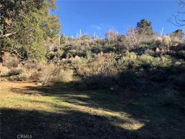 5774 Acorn, Wrightwood, CA 92397