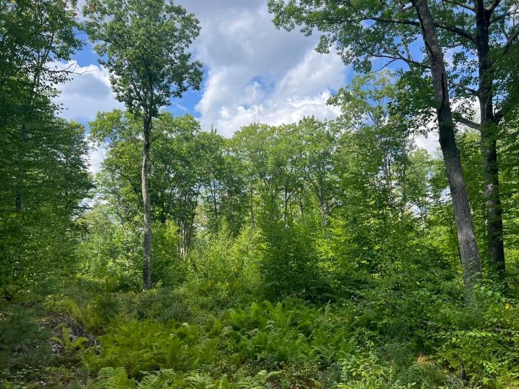 0 Old County Road, Lyman, ME 04002 — exterior