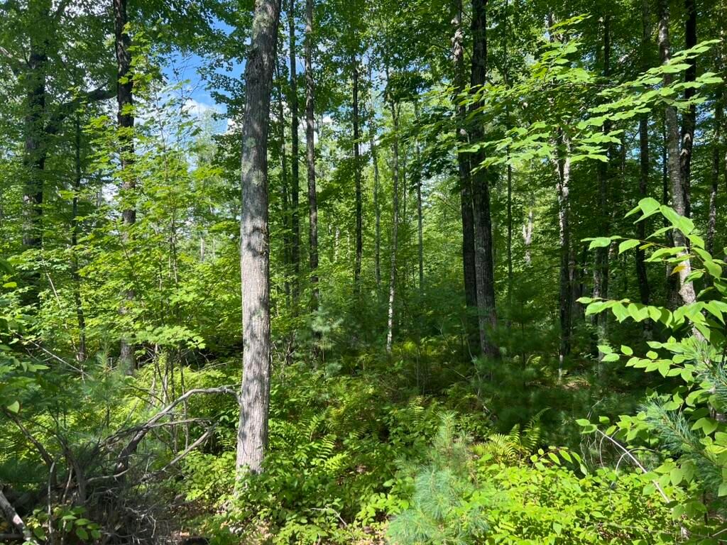 0 Old County Road, Lyman, ME 04002 — photo 2