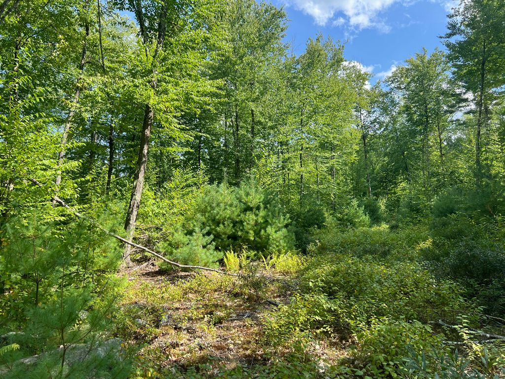 0 Old County Road, Lyman, ME 04002 — photo 3