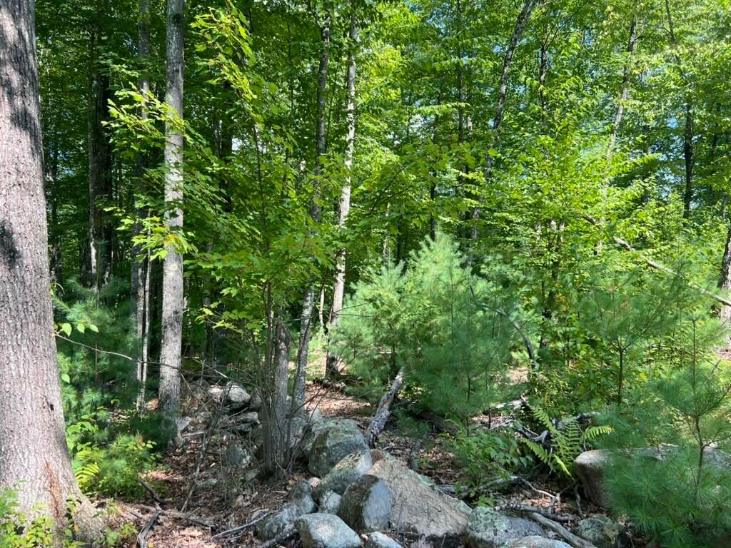 0 Old County Road, Lyman, ME 04002 — photo 4
