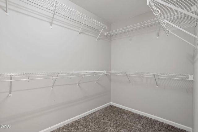 12311 Honeychurch Street, Raleigh, NC 27614