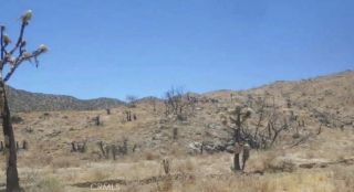 0 N of Elata, Yucca Valley, CA 92284