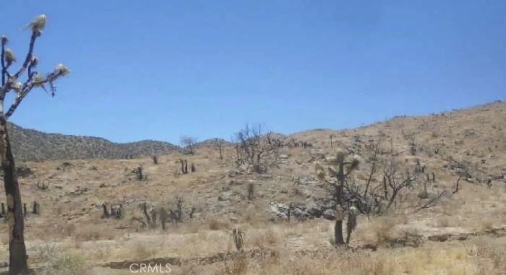 0 N of Elata, Yucca Valley, CA 92284