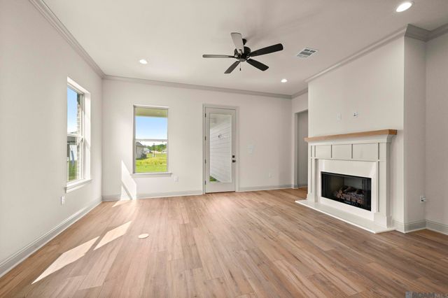 36170 Belle Parc Ave, Geismar, LA 70734