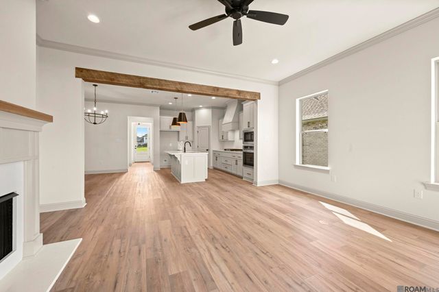 36170 Belle Parc Ave, Geismar, LA 70734