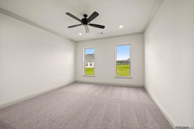 36170 Belle Parc Ave, Geismar, LA 70734
