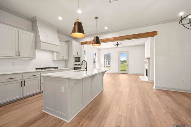 36170 Belle Parc Ave, Geismar, LA 70734