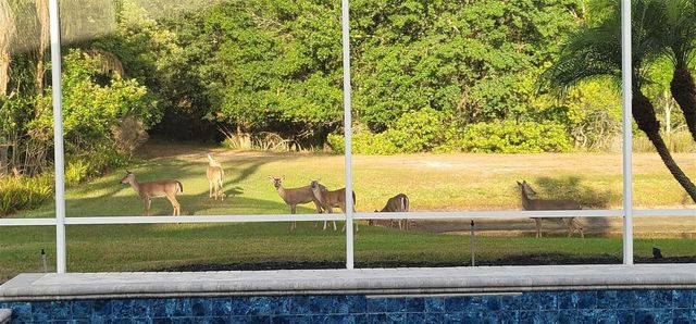 5522 REFLECTIONS BOULEVARD, Lutz, FL 33558