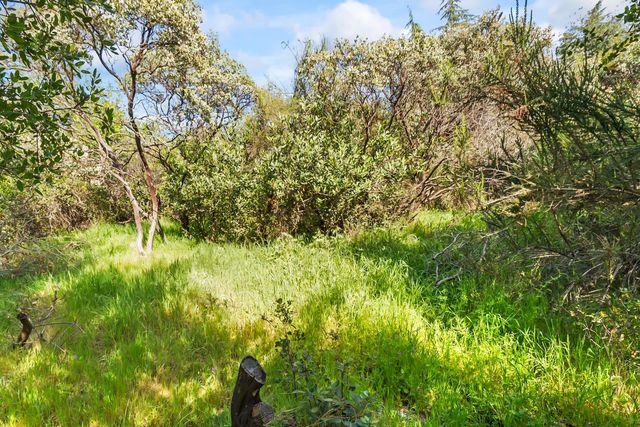 2801 Osborne Rd, Cameron Park, CA 95682