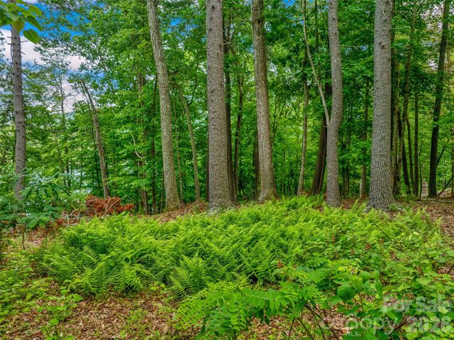 17 Hendrickson Court, Candler, NC 28715