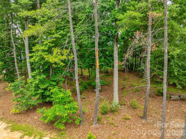17 Hendrickson Court, Candler, NC 28715
