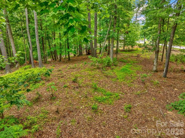 17 Hendrickson Court, Candler, NC 28715
