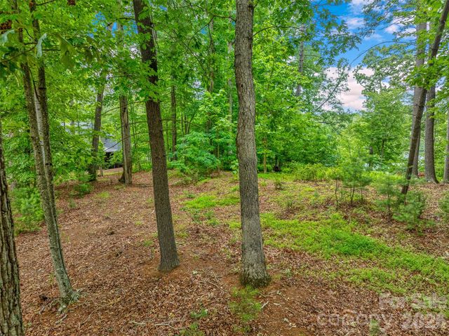 17 Hendrickson Court, Candler, NC 28715