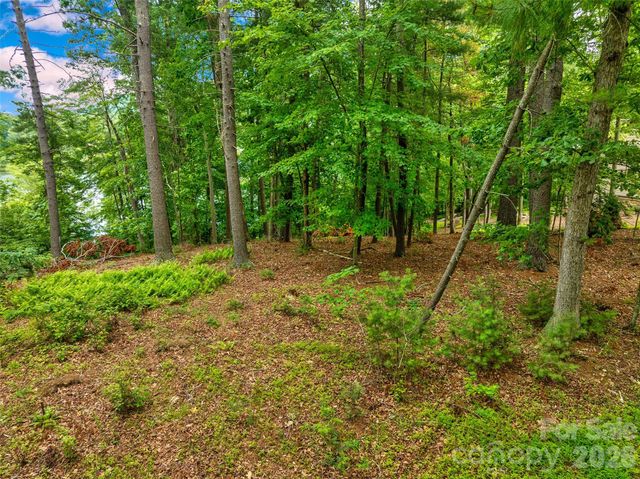 17 Hendrickson Court, Candler, NC 28715