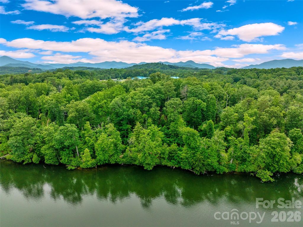 17 Hendrickson Court, Candler, NC 28715