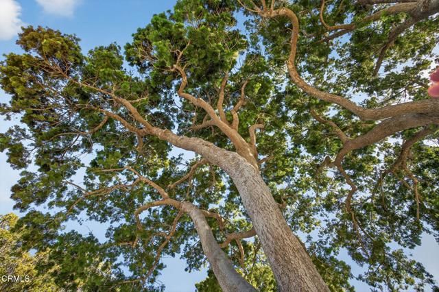 1721 Joanne Way, Oxnard, CA 93030