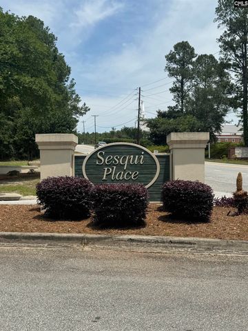9 Sesqui Court, Columbia, SC 29223