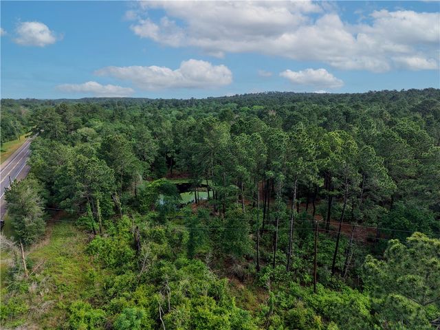 TBD Highway 90 N, Bedias, TX 77831
