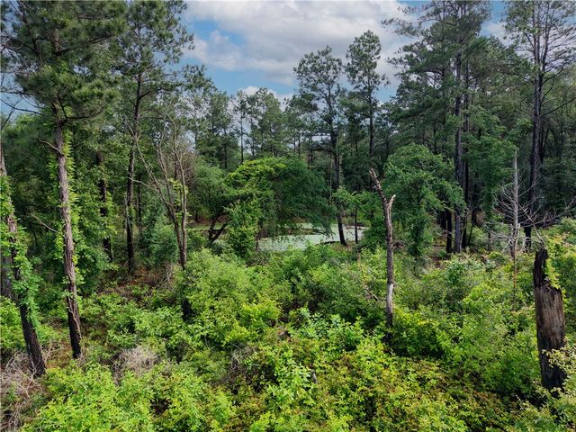 TBD Highway 90 N, Bedias, TX 77831