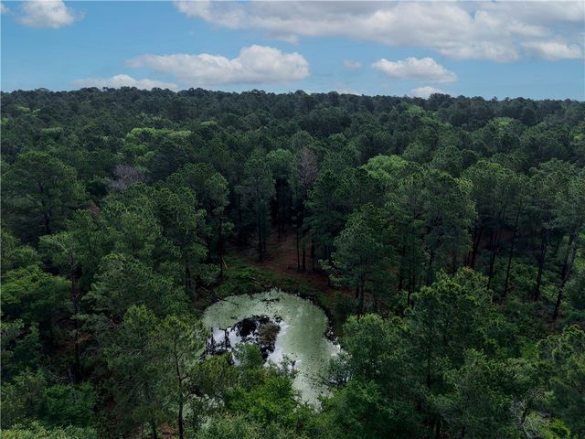 TBD Highway 90 N, Bedias, TX 77831