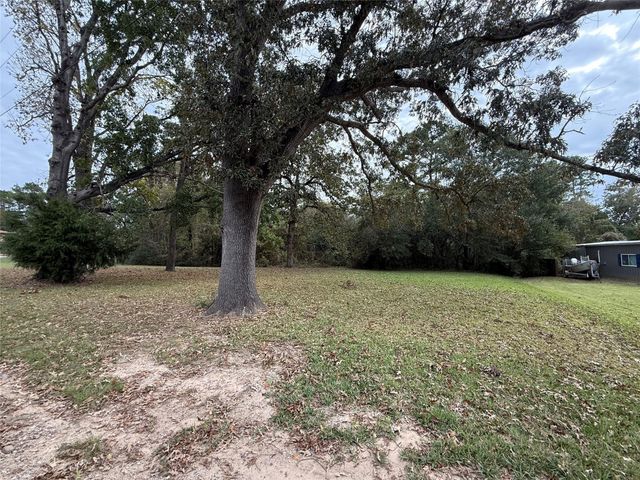 0 Sequoia Drive, Livingston, TX 77351