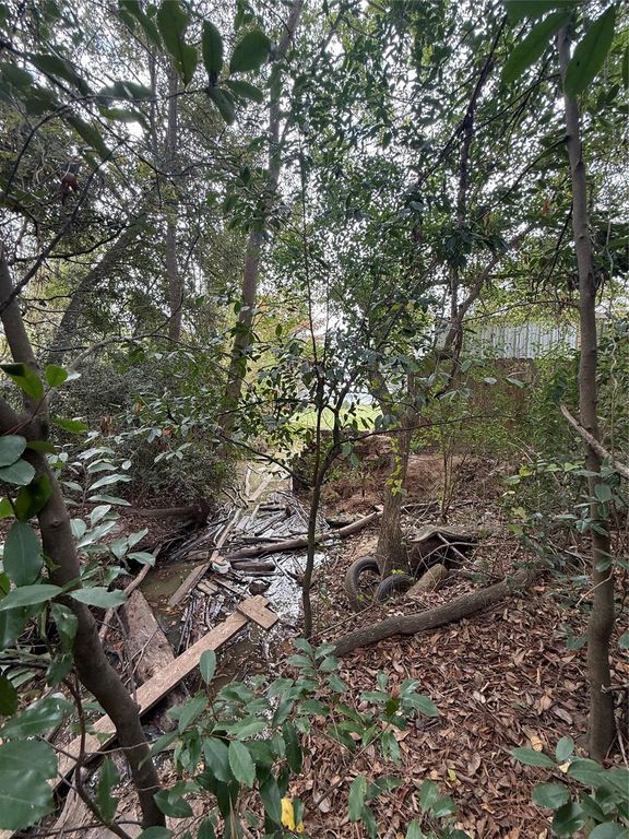 0 Sequoia Drive, Livingston, TX 77351