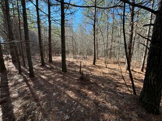 2 Fredonia Road, Dunlap, TN 37327